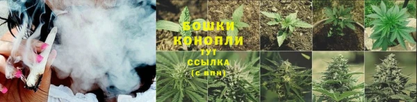 прущая мука Пересвет
