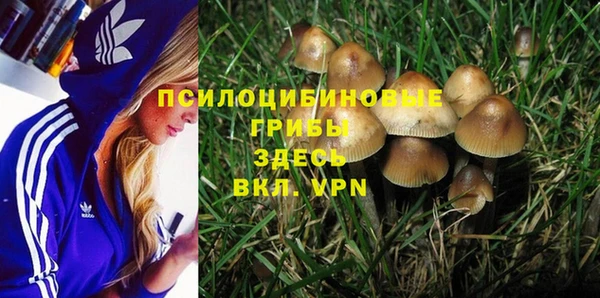 PSILOCYBIN Переславль-Залесский