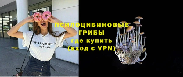 PSILOCYBIN Переславль-Залесский