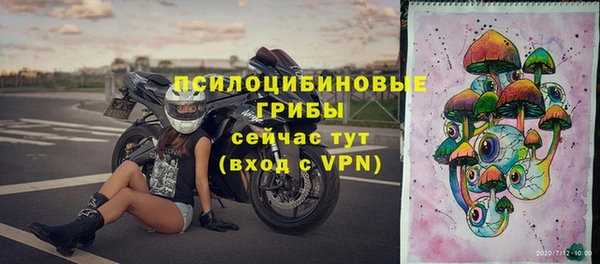 прущая мука Пересвет