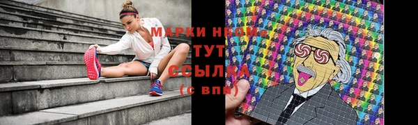 прущая мука Пересвет