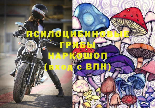 прущая мука Пересвет