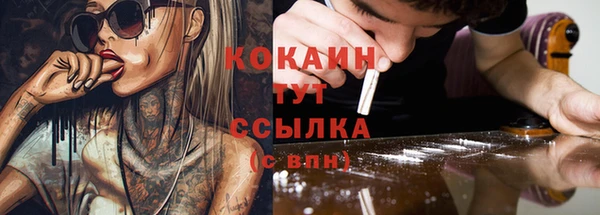 прущая мука Пересвет